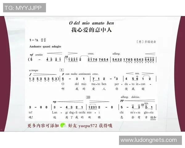 足球明星们最爱的动听歌曲推荐让你感受激情与梦想的旋律 足球明星们最爱的动听歌曲推荐让你感受激情与梦想的旋律