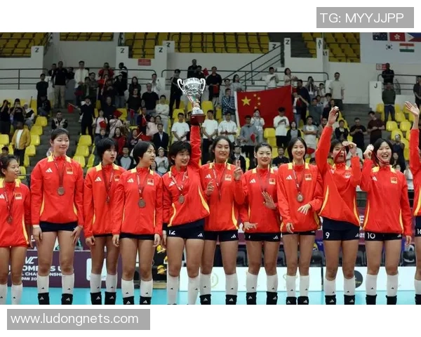 排球热点:解读武汉排球队的运营 排球热点:解读武汉排球队的运营