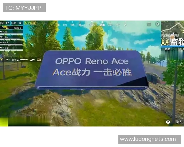 和平精英焦点：TES的速度探讨