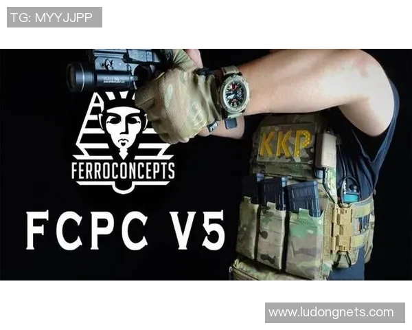 大师赛点评：V5的战术表现