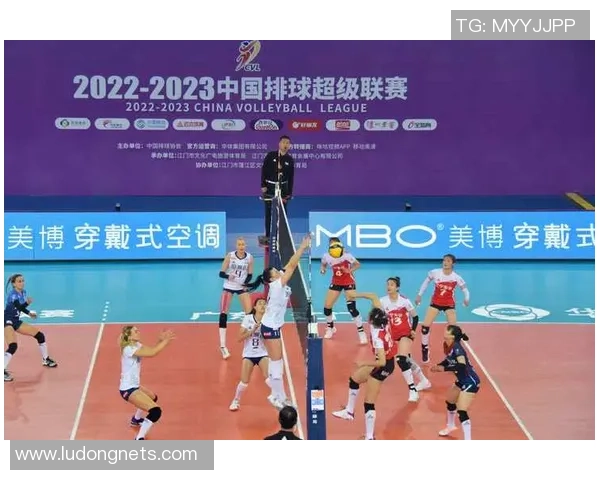 数据分析：深圳排球队的战术表现